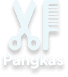 Foto ujang